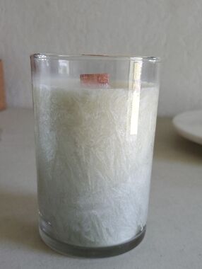 Gardenia Two-Tone Textured Palm Candle Wood Wick 50 Hours Home Interiors NEW